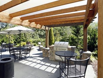 Gas bbq grill with outdoor seating